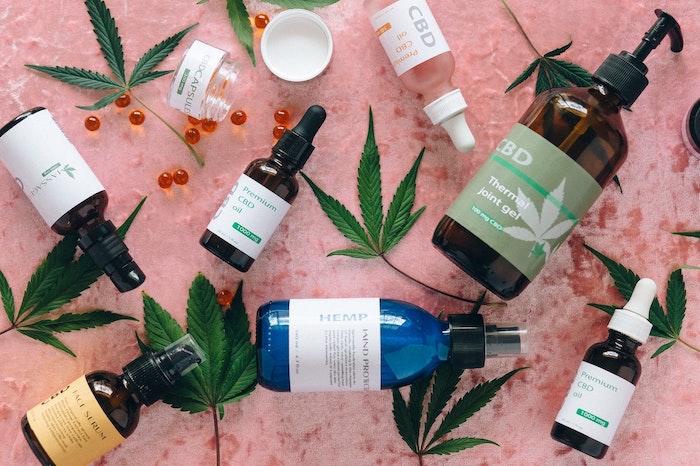 Crafting a Business Plan for a Successful CBD Company